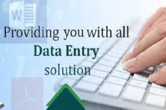 do professional typing service, convert pdf to word or excel and retyping  pages