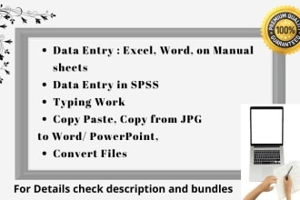 do typing work, data entry in excel, spss, word, copy from jpg to word