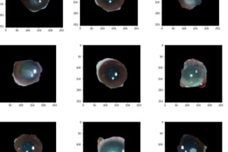 do machine learning and deep learning projects