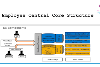 help you in sap successfactors hcm configuration and support