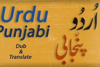 do outstandingly translate and dubbed english to urdu and punjabi language