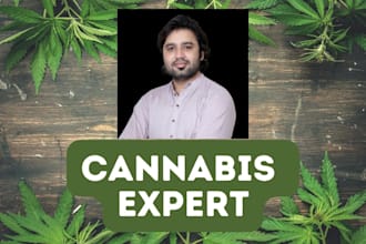 write SEO articles or blogs on cannabis