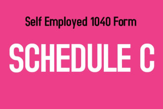 prepare 1040 schedule c form based on profit and loss or bookkeeping