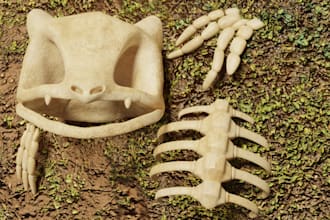 create 3d models of bones skulls and skeletons