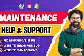 provide maintenance help, and support for your wordpress website