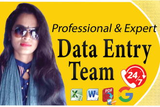 do data entry, data mining, excel spreadsheet job with my team