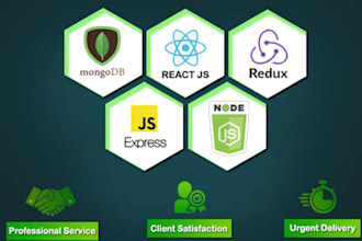 build or rebuild website development full stack developer and custom website