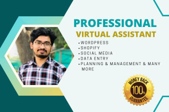 be your professional virtual assistant or wordpress VA