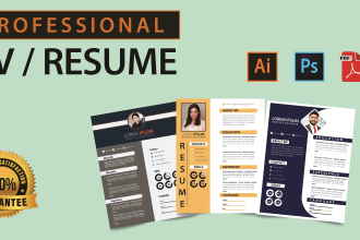 do the best infographic resume design and professional cv design within 24 hours