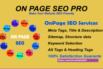 optimize website SEO on wordpress, shopify, wix, squarespace
