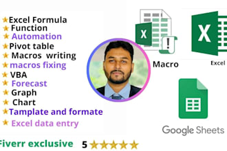 do excel, spreadsheet,automation, formulas, data entry, macros, vba, pivot table