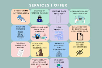 offer digital forensics, and cyber crime investigations