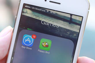 send you the file of rare game Flappy Bird