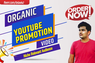 do youtube video promotion to niche relevant audience