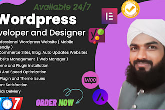 make professional wordpress website also resolve issues