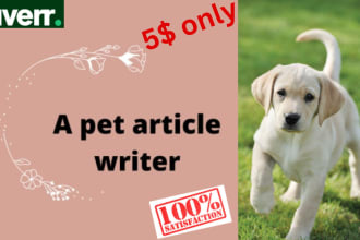 write SEO articles and blogs on your pets