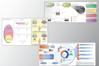 create scientific illustrations, posters and figures