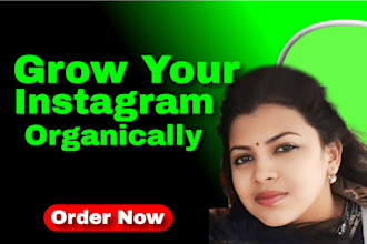 do fast organic instagram growth