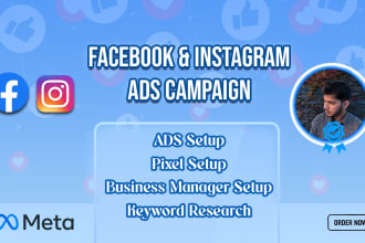 set up professional facebook and instagram ad campaigns