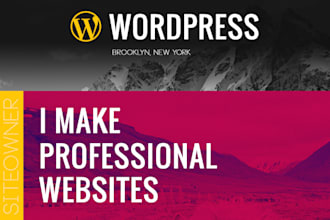 make PROFESSIONAL websites