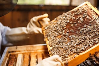 write a beekeeping, honey bee farm business plan for you