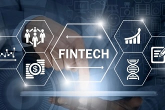 write a pro business plan for your fintech company startup