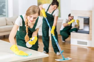 write a pro housekeeping, house sitter startup business plan