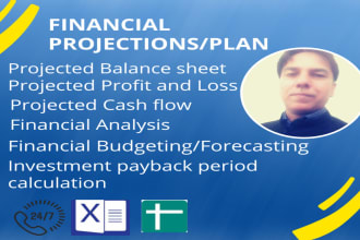 do financial projections, plan, and budgeting