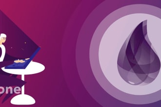 be your elite full stack elixir developer