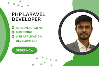 fix bugs or errors in your laravel project