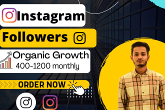 increase followers on instagram for fast growth and organic engagement
