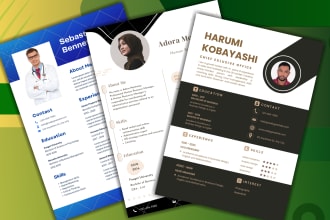 provide a professional resume writing and creative design
