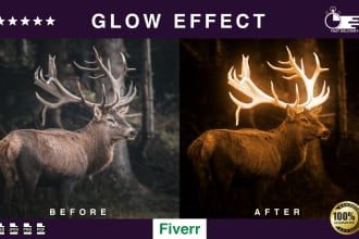 do amazing glow effect, neon light effect or photo manipulation