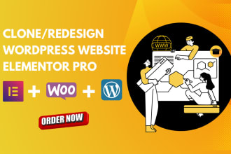 clone, revamp, copy and redesign wordpress website or shopify store