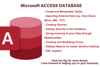 do all kinds of microsoft access database projects