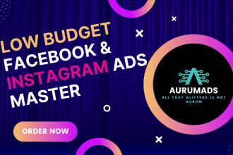 run low budget facebook and insta ads, digital marketing master