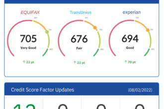 remove experian inquires within 24 hours