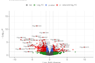 do rna seq differential expression analysis and deseq2 plots