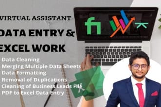 do excel data cleaning, formatting and removing duplicates