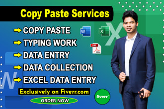 do copy paste, excel data entry or typing work