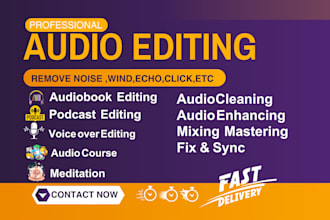 do audio editing to remove background noise, wind, echo, repair, clean, and fix
