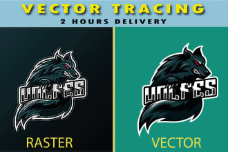 vector tracing, image to vector, convert your logo to vector