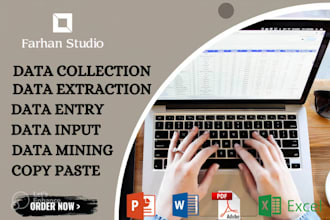 do data entry, input, extraction, collection and data mining