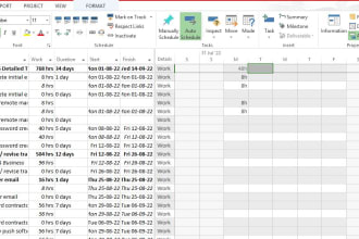 work on project management,brd, srs, reports, gantt chart other tasks for you
