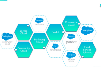 do all kinds of salesforce development and integration