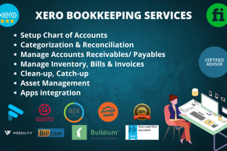 do xero bookkeeping and reporting