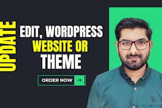 customize, update and edit wordpress website