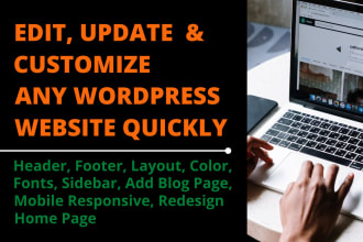 changes, edit, update, customize or redesign any wordpress website