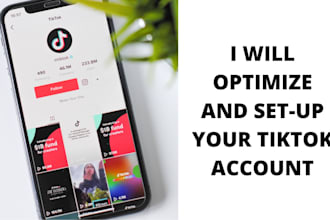 audit and optimize your tiktok account