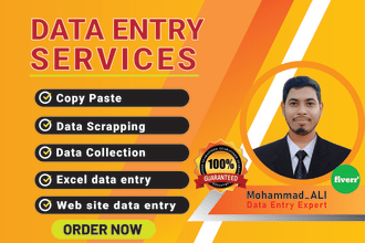 help data entry,excel sheet,web recharge, and for your work